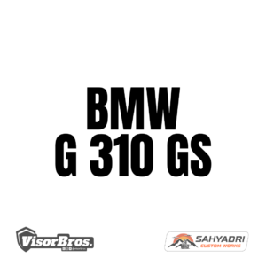 BMW G 310 GS