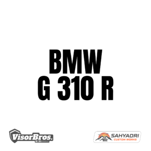 BMW G 310 R