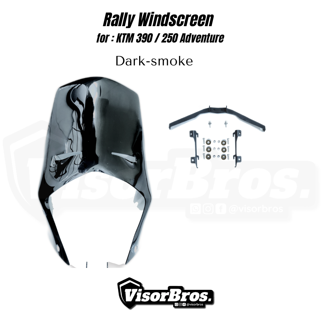 VB RALLY VISOR (1)
