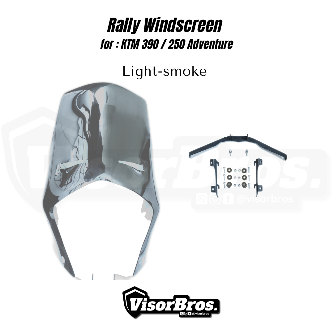 VB RALLY VISOR (2)