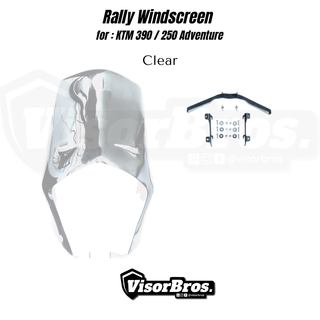 VB RALLY VISOR (3)