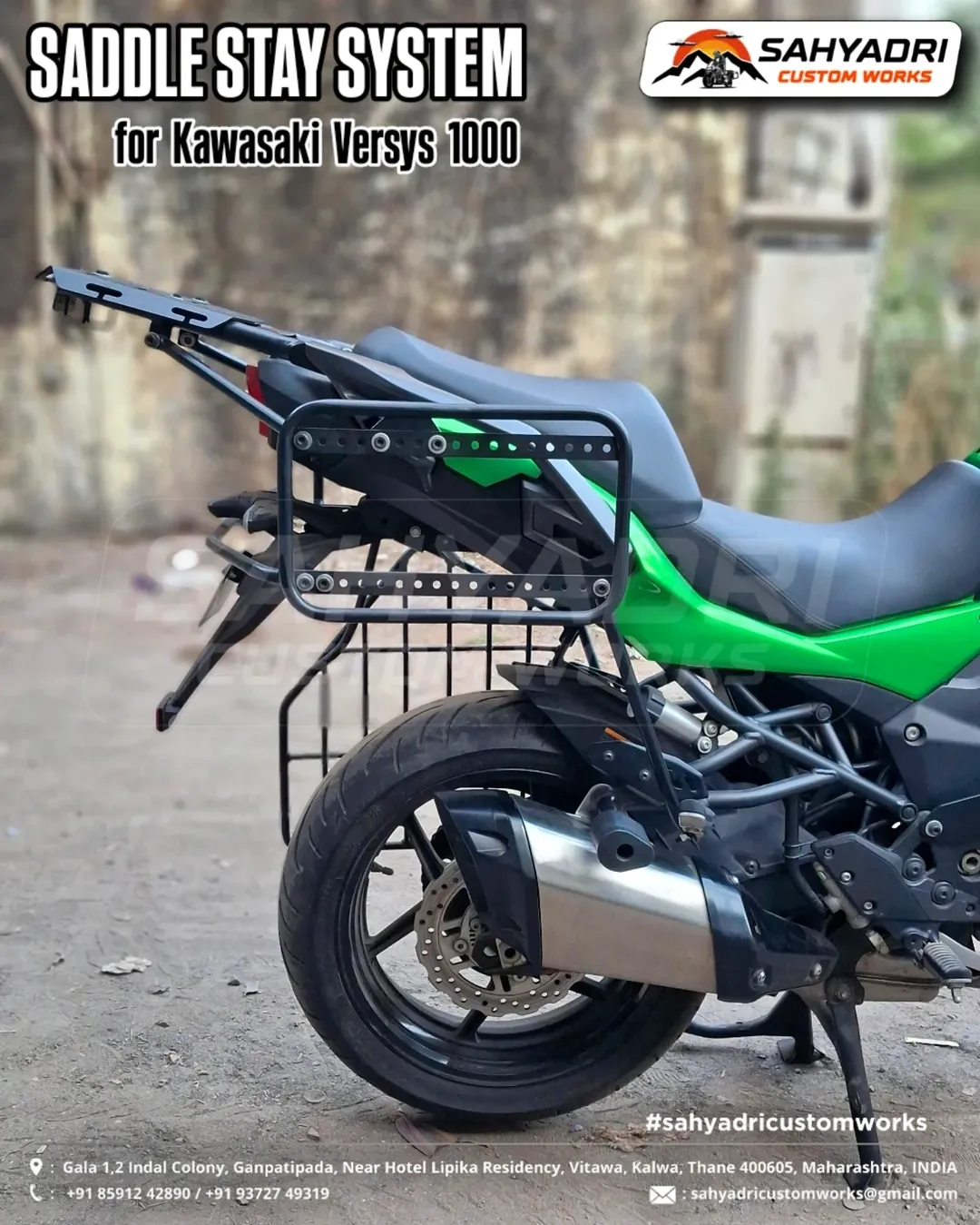 Saddale Stays for Kawasaki 1000 (1)