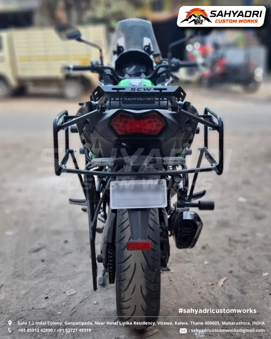 Saddale Stays for Kawasaki 1000 (2)