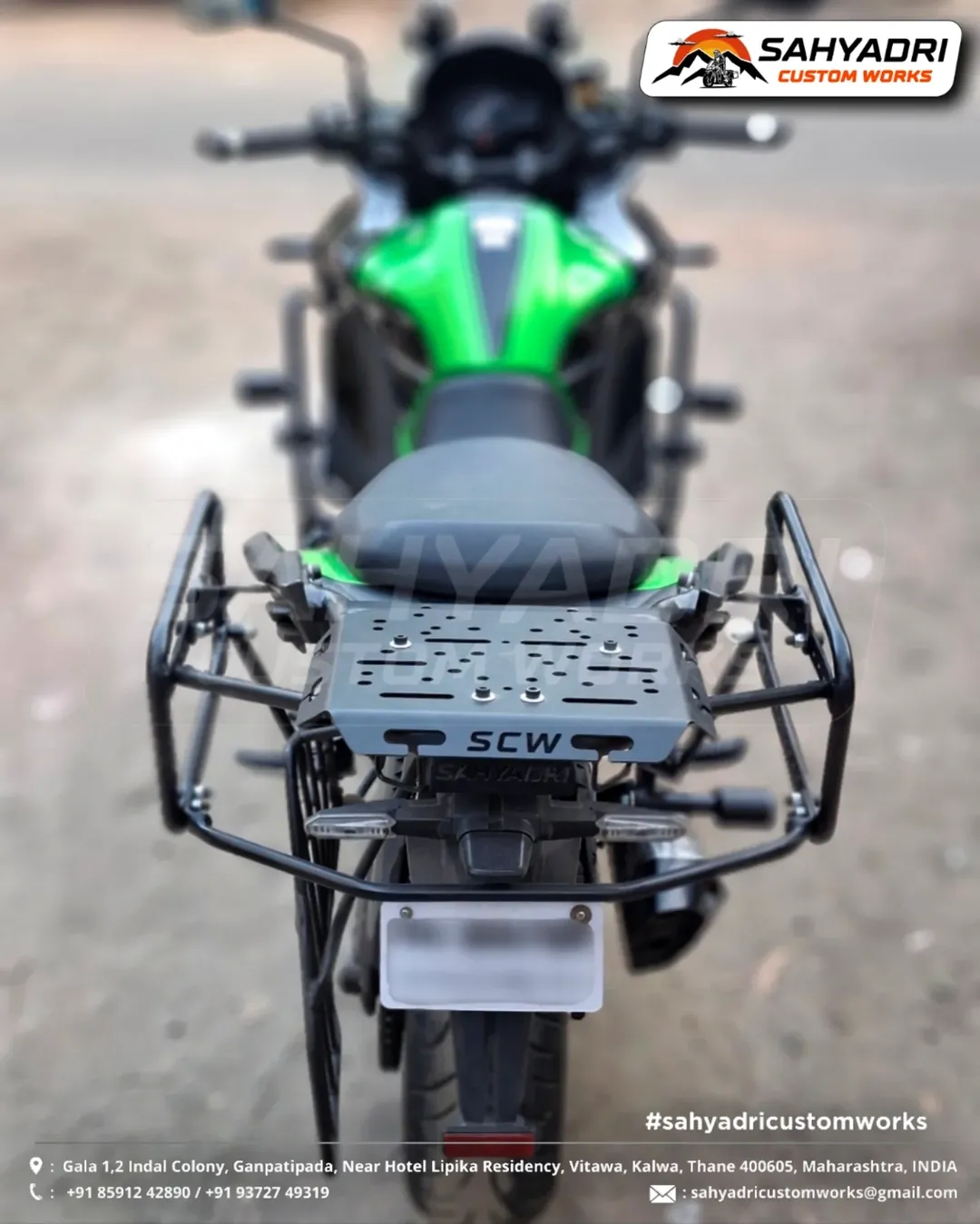Saddale Stays for Kawasaki 1000 (4)
